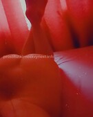 Анкета проститутки Света - метро Марфино, возраст - 30